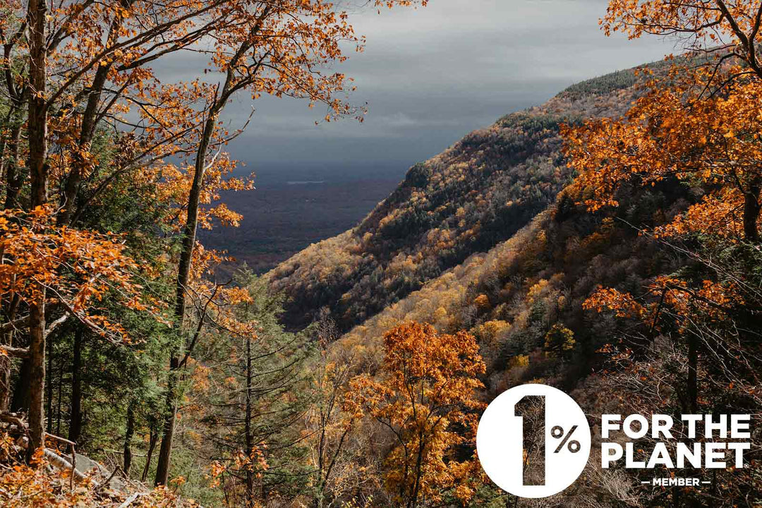 Supporting the Places We Love