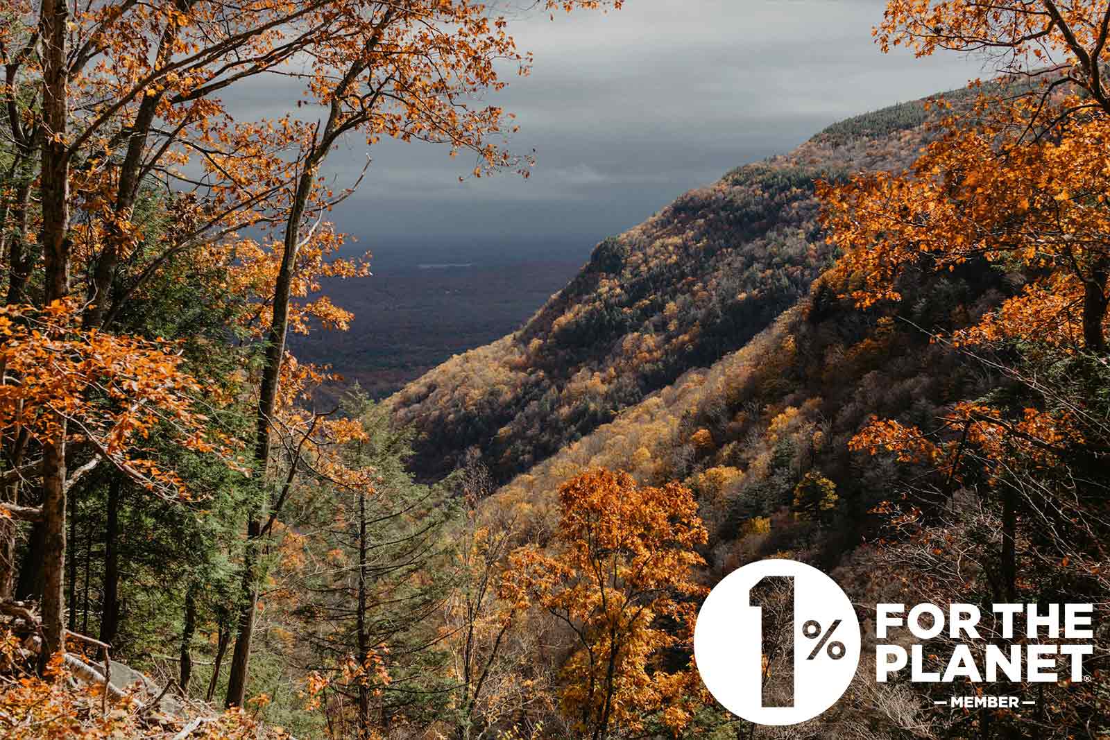 Supporting the Places We Love