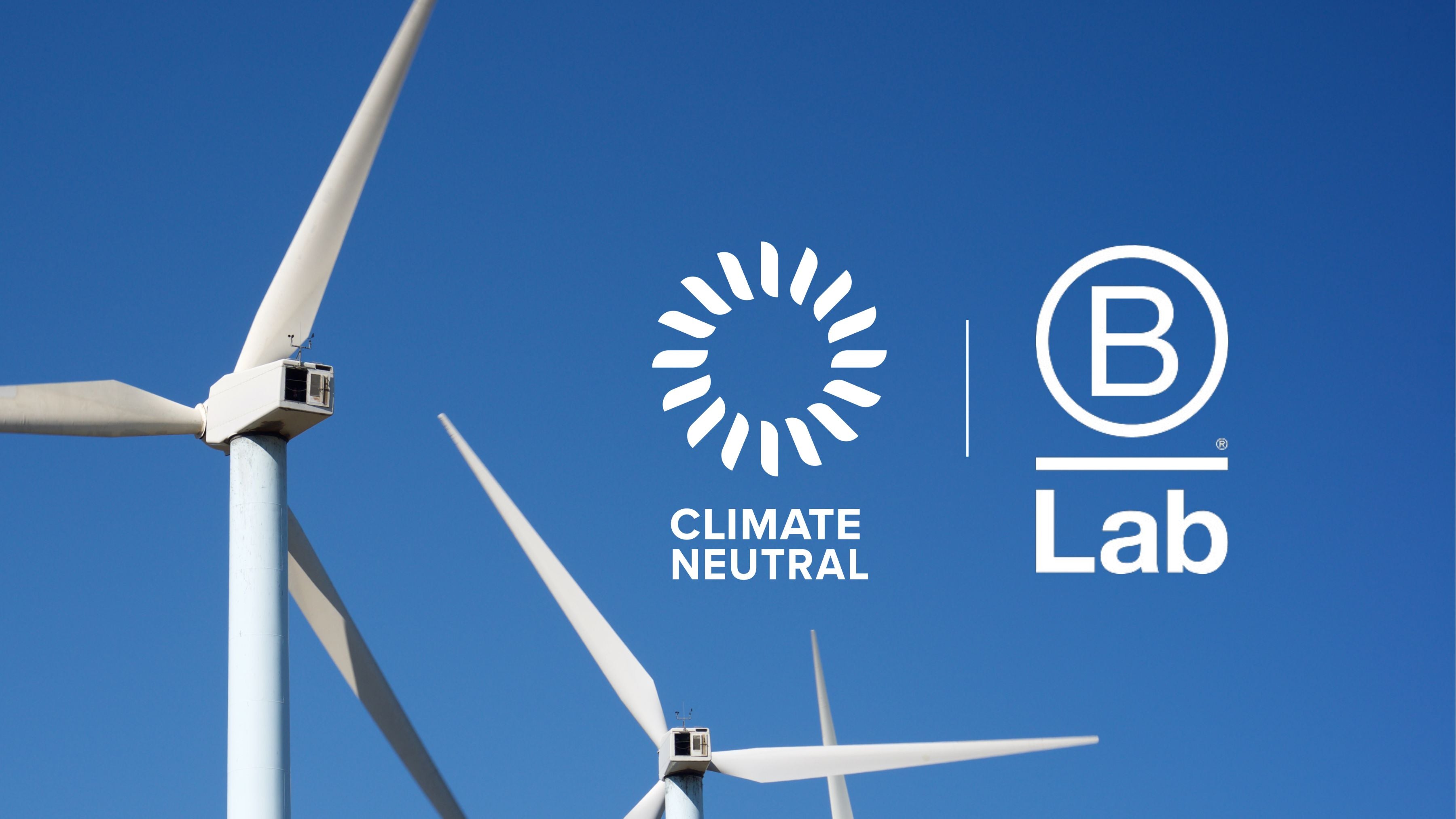 Embracing Ethical Brands: Our Commitment to B Corp and Climate Neutral Products at Camp Catskill