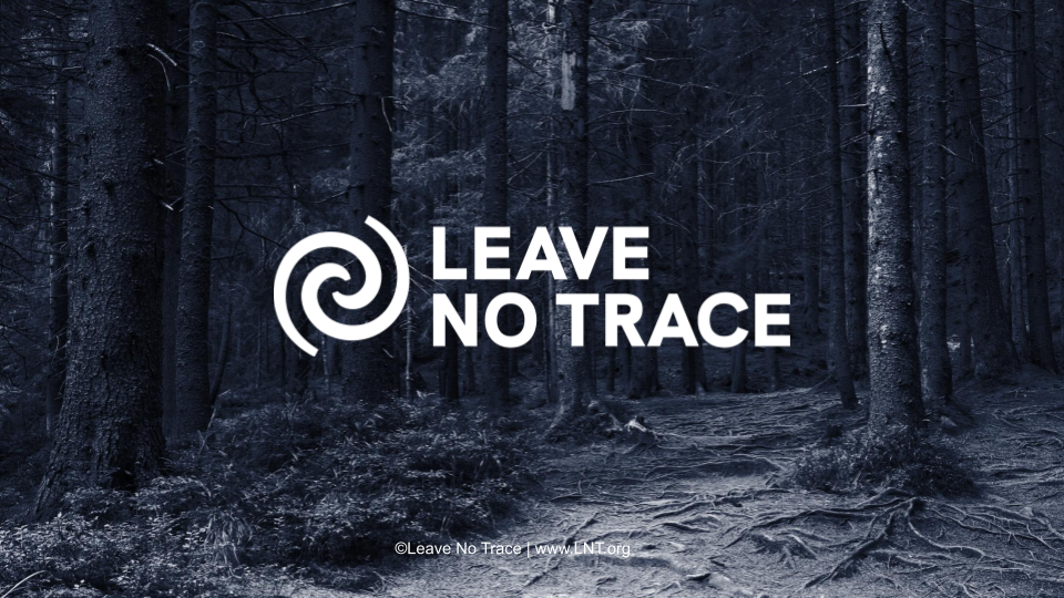 Leave No Trace: How to Practice Sustainable Hiking in the Catskills