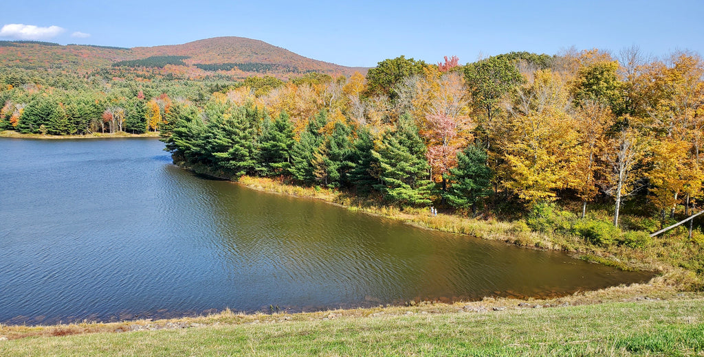 10 Fall Foliage Hikes in the Great Northern Catskills
