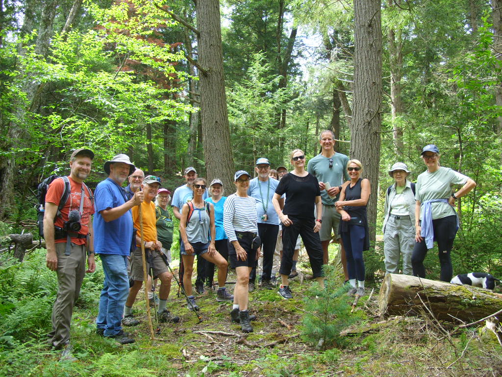The full walk group, fifteen people, on the Cortina Connector
