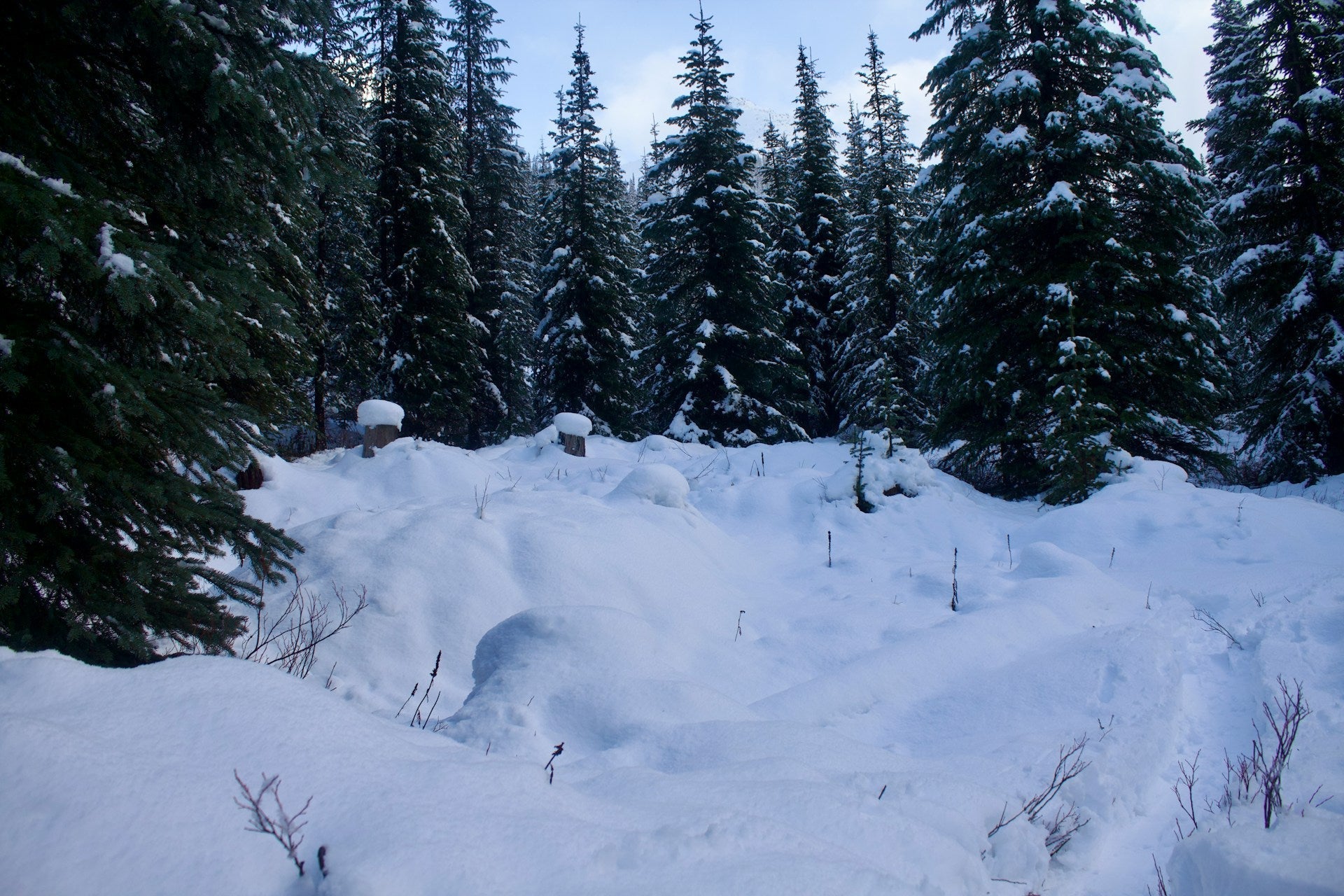What Is Postholing? (And Why It Matters Right Now in the Catskills)