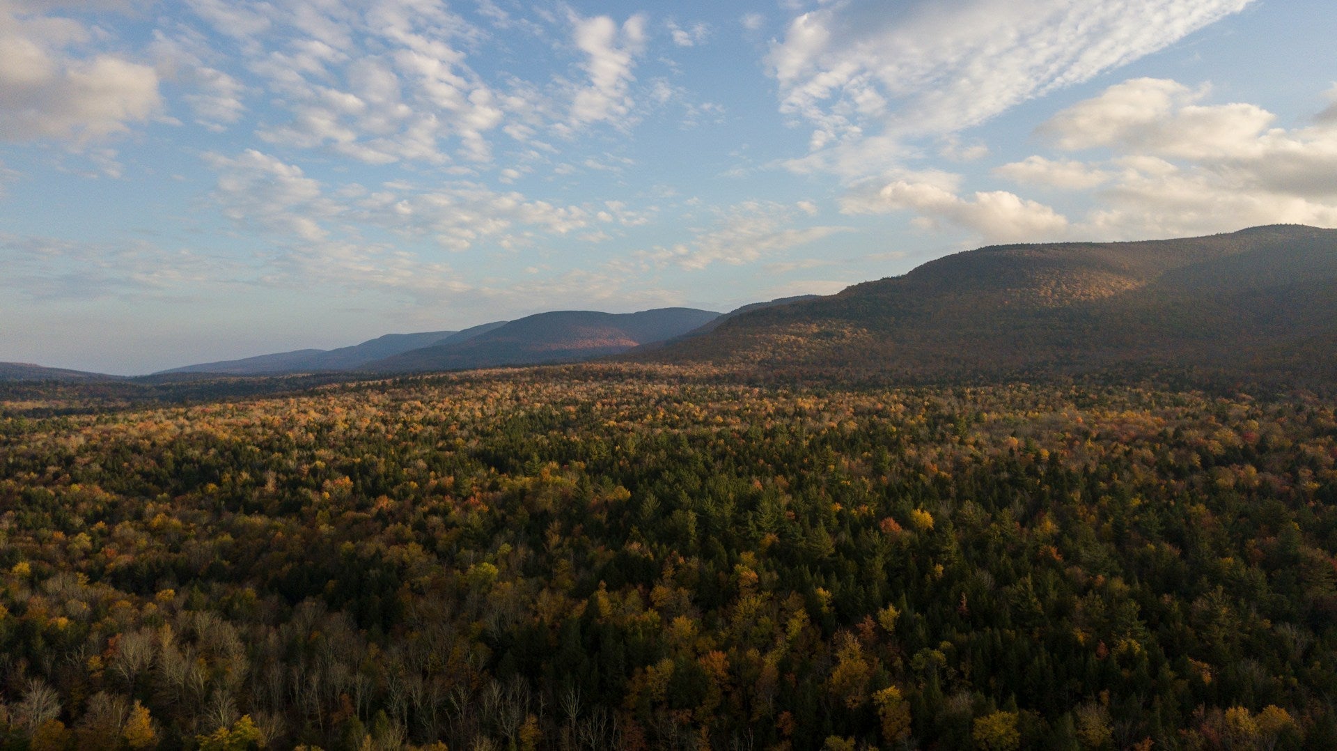Start Your Hike Here