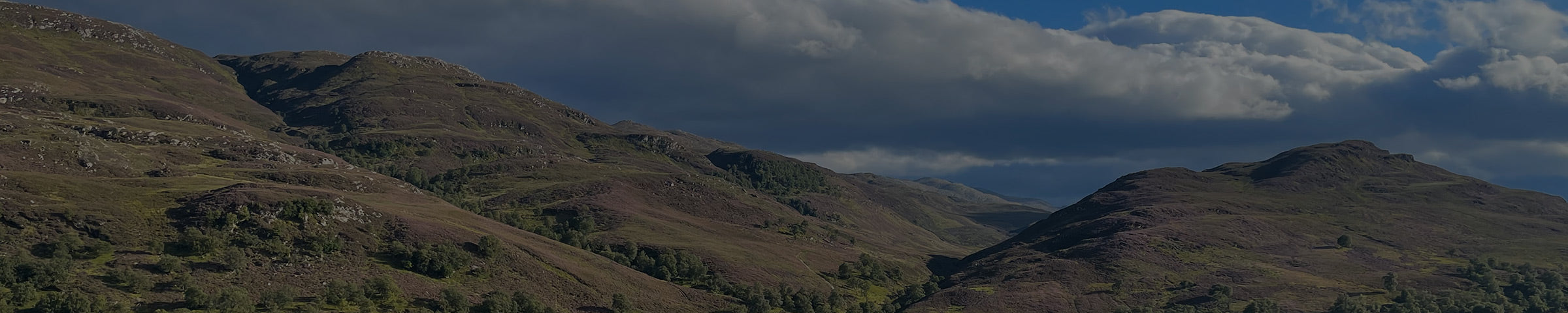 Cotopaxi