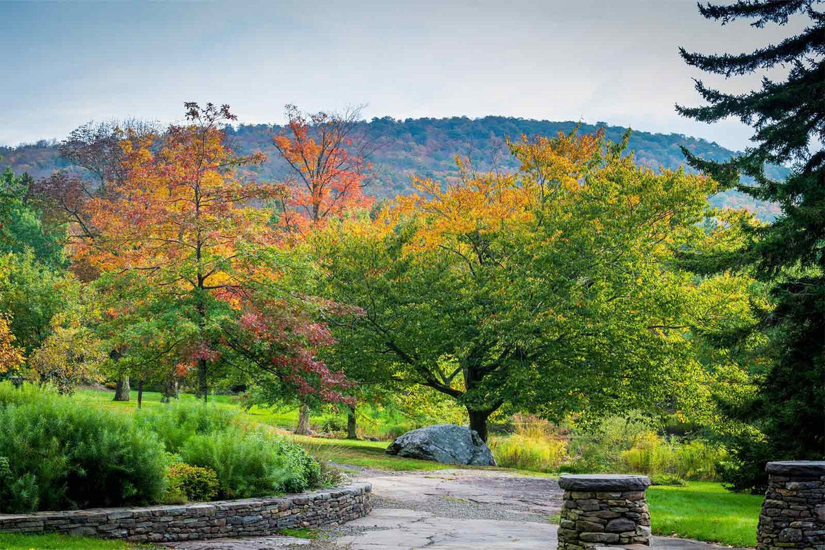 Mountain Top Arboretum