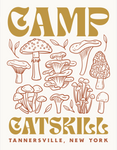 Mushrooms of the Catskills Postcard