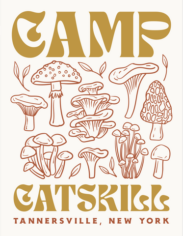 Mushrooms of the Catskills Postcard