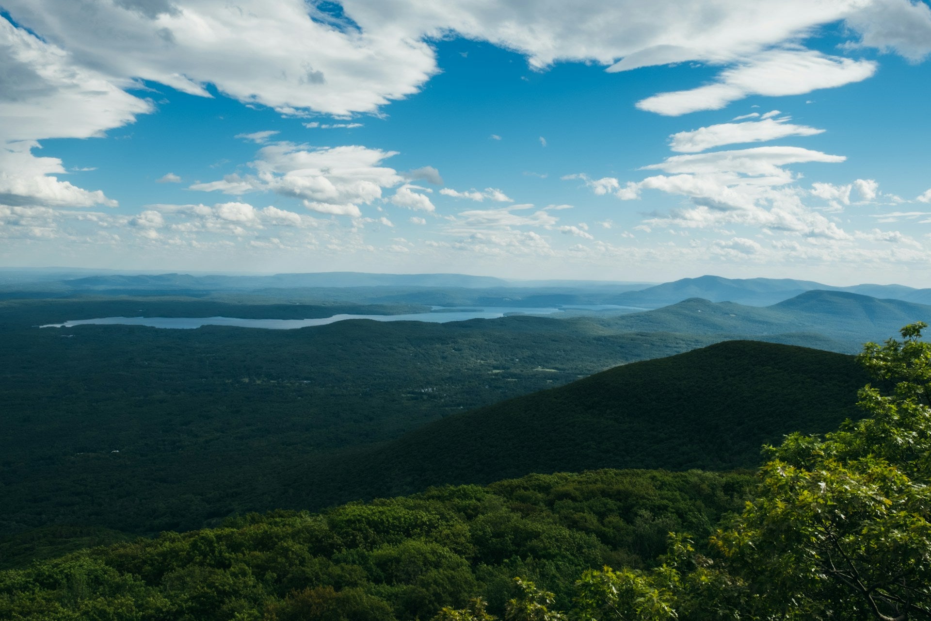 Huckleberry Point