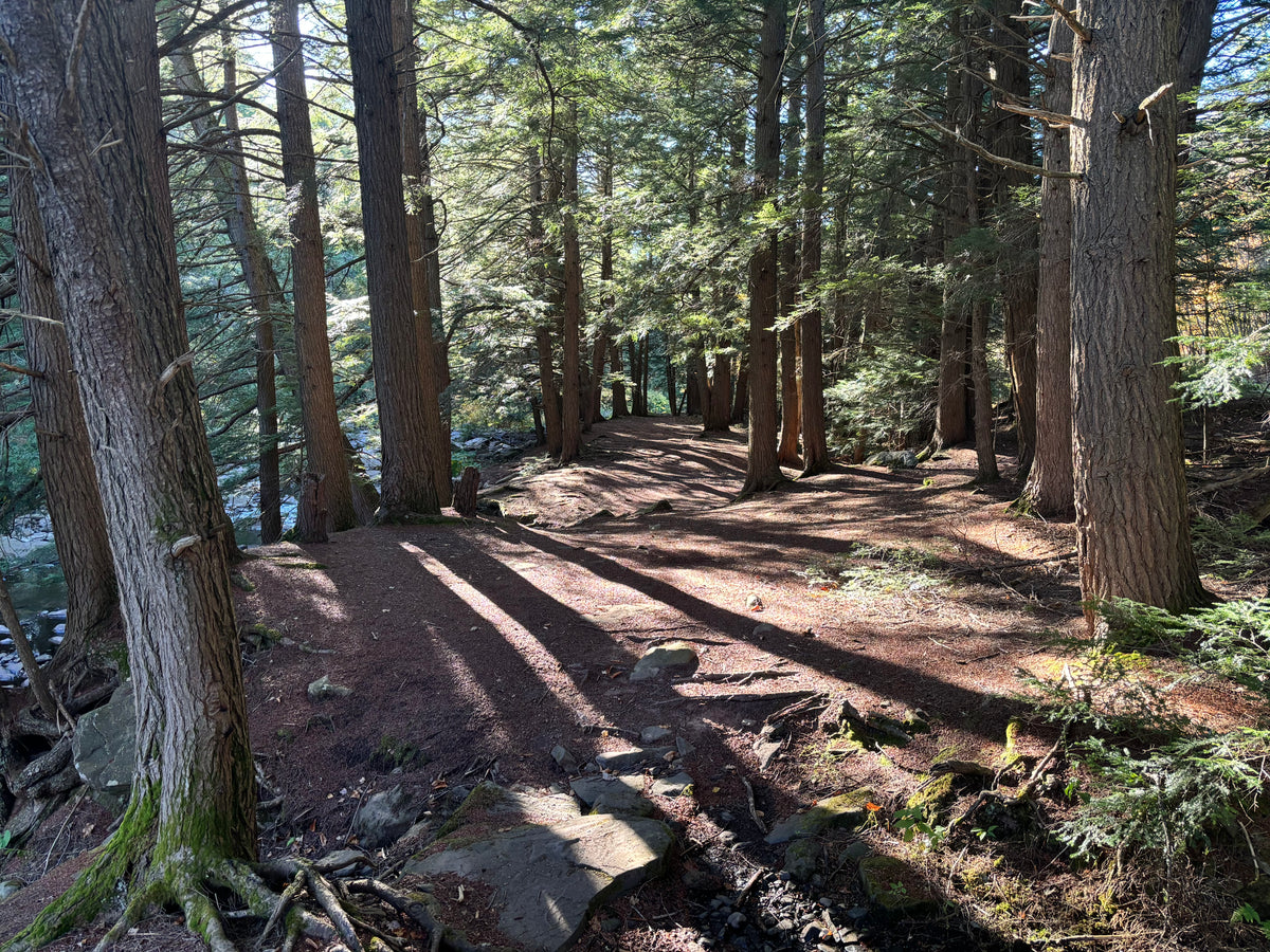 Huckleberry Rail Trail West