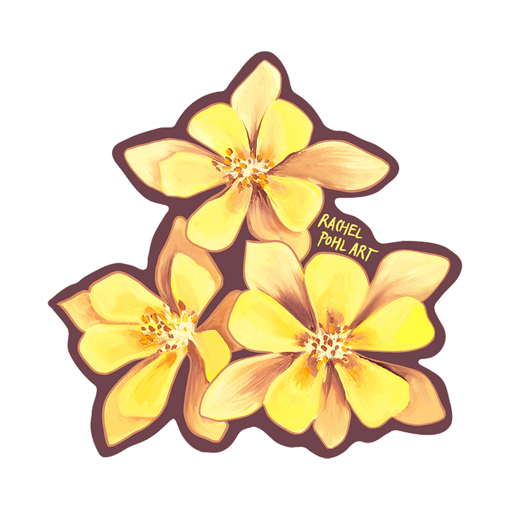 Noso - Columbine Flowers by Rachel Pohl