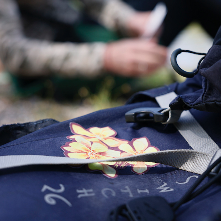 Noso - Columbine Flowers by Rachel Pohl