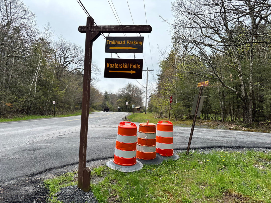 Scutt Road Trailhead