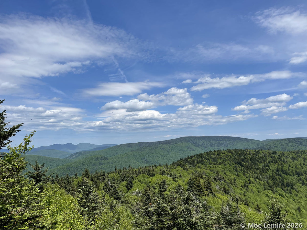 View over forested Catskill ridges from West Kill Mountain
