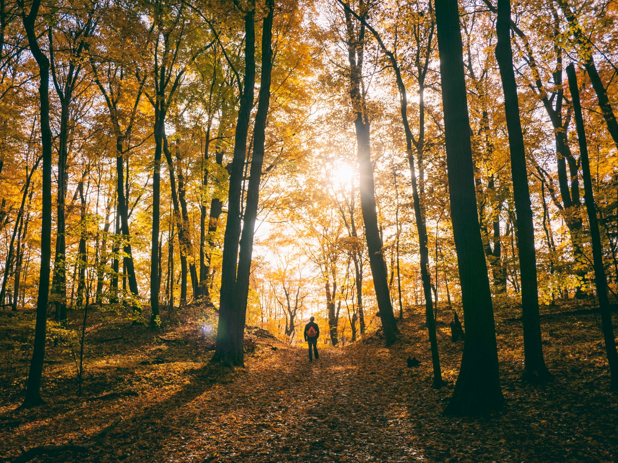 Fall Hiking