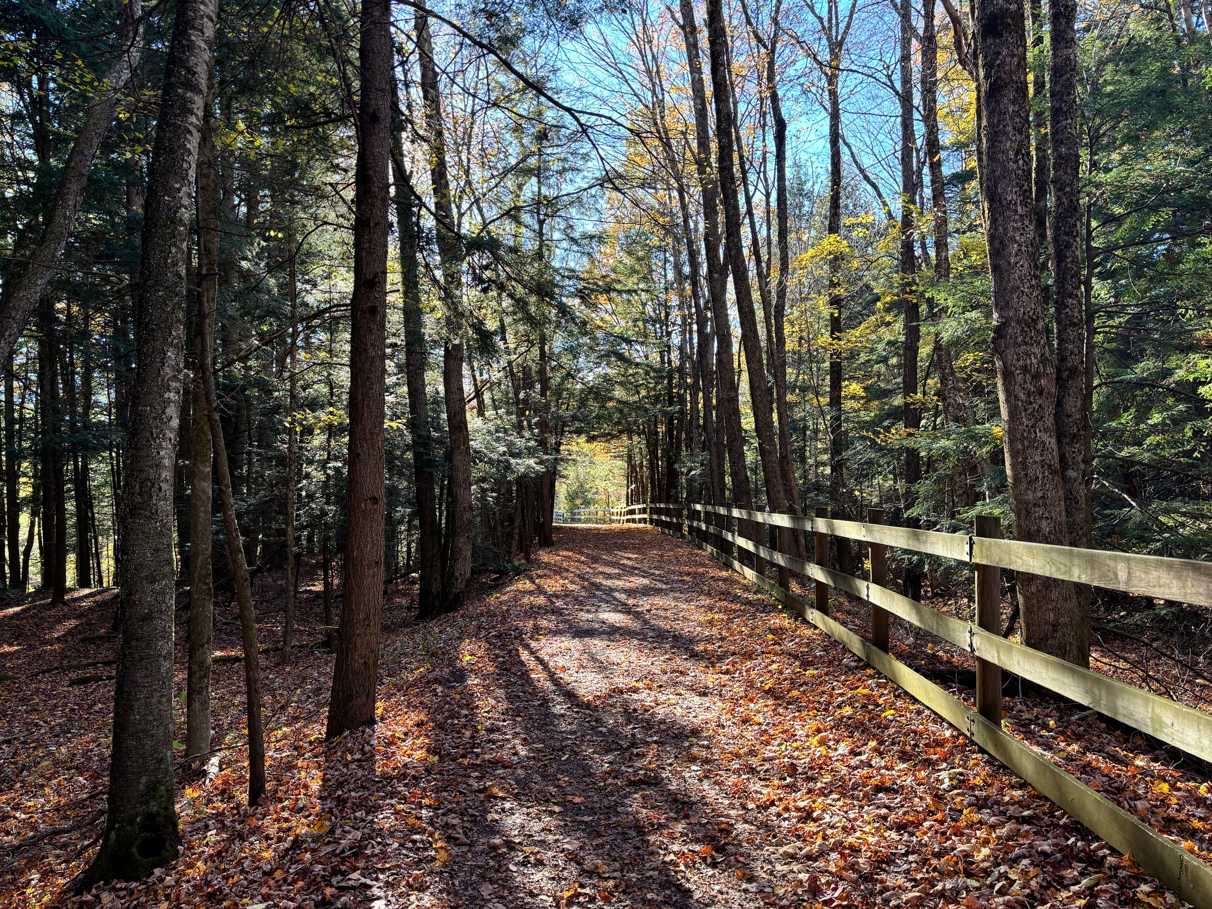 The Huckleberry Rail Trail West in fall foliage