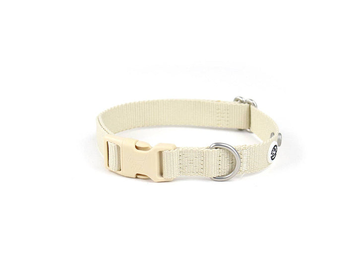 Sand Dog Collar