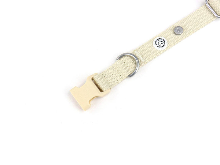 Sand Dog Collar