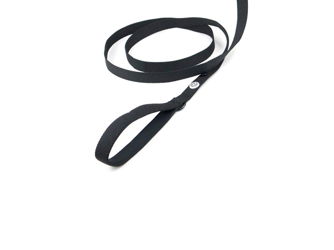 Pitch Black Dog Leash
