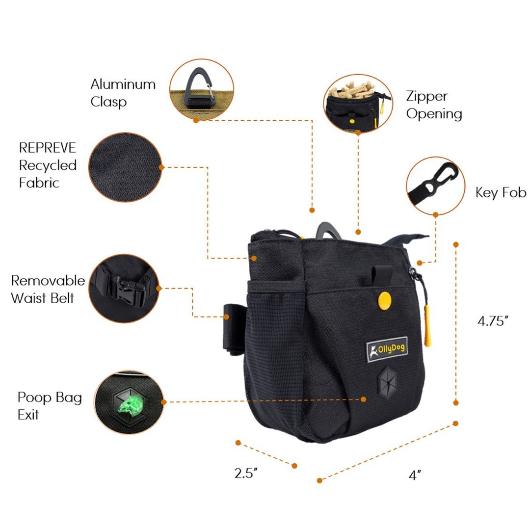 Backcountry Day Bag