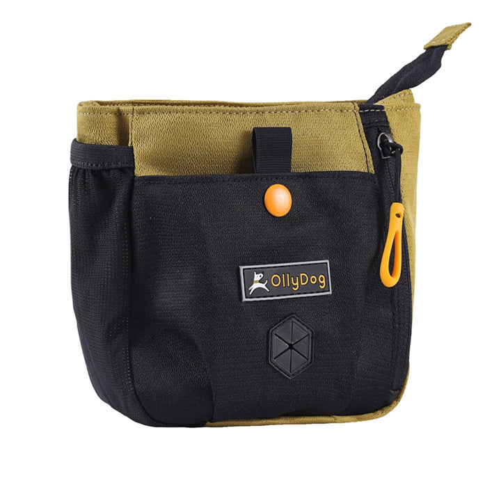 Backcountry Day Bag