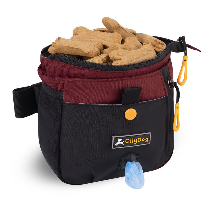 Backcountry Day Bag