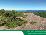 West Hudson Trails Map - NYNJTC