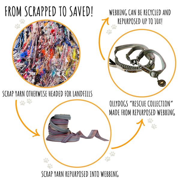 Rescue Adjustable Leash