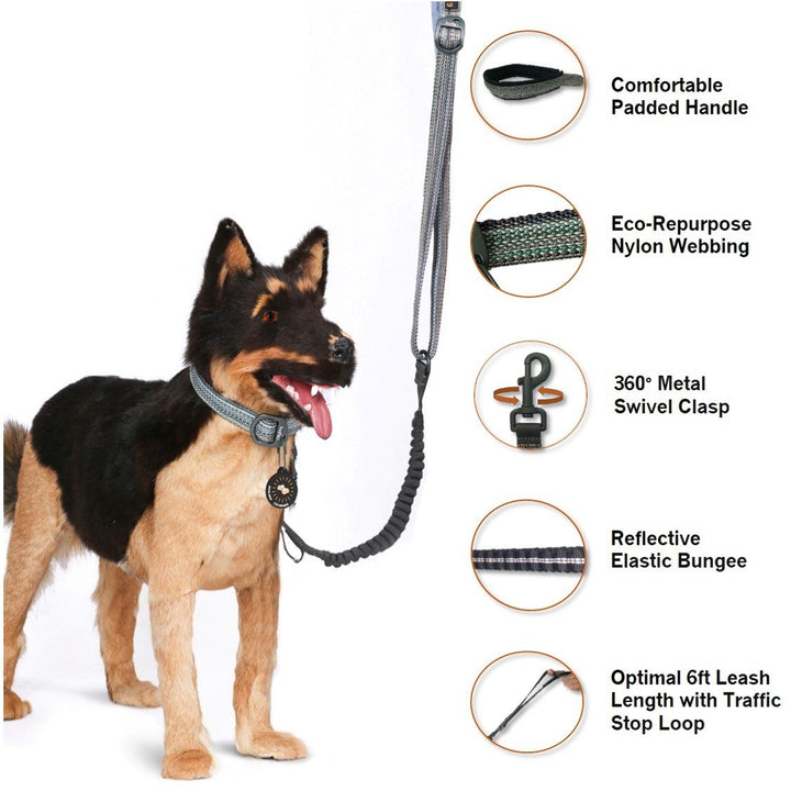Rescue Adjustable Spring Leash