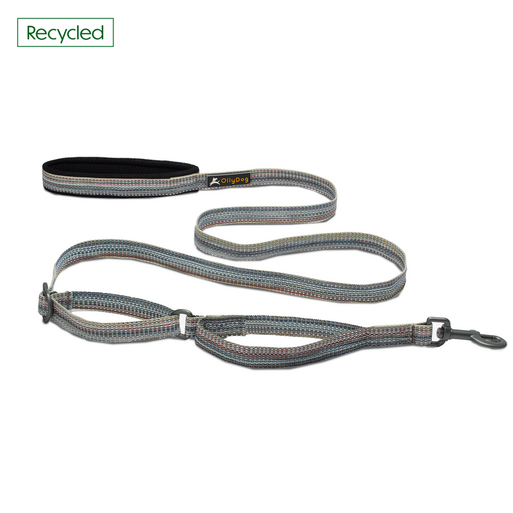 Rescue Adjustable Leash
