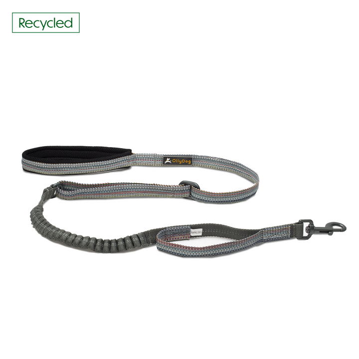 Rescue Adjustable Spring Leash